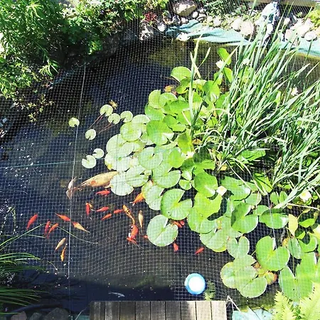 Huehnergott アパート Kröpelin