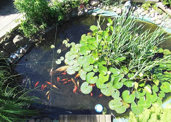 Huehnergott Daire Kröpelin